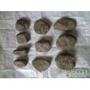 赌石批发|天然老场口翡翠原石样品批发 P0810