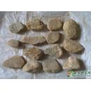 水石批发DT302 达摩坎场口 EMS特价包邮